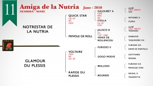 amiga de la nutria